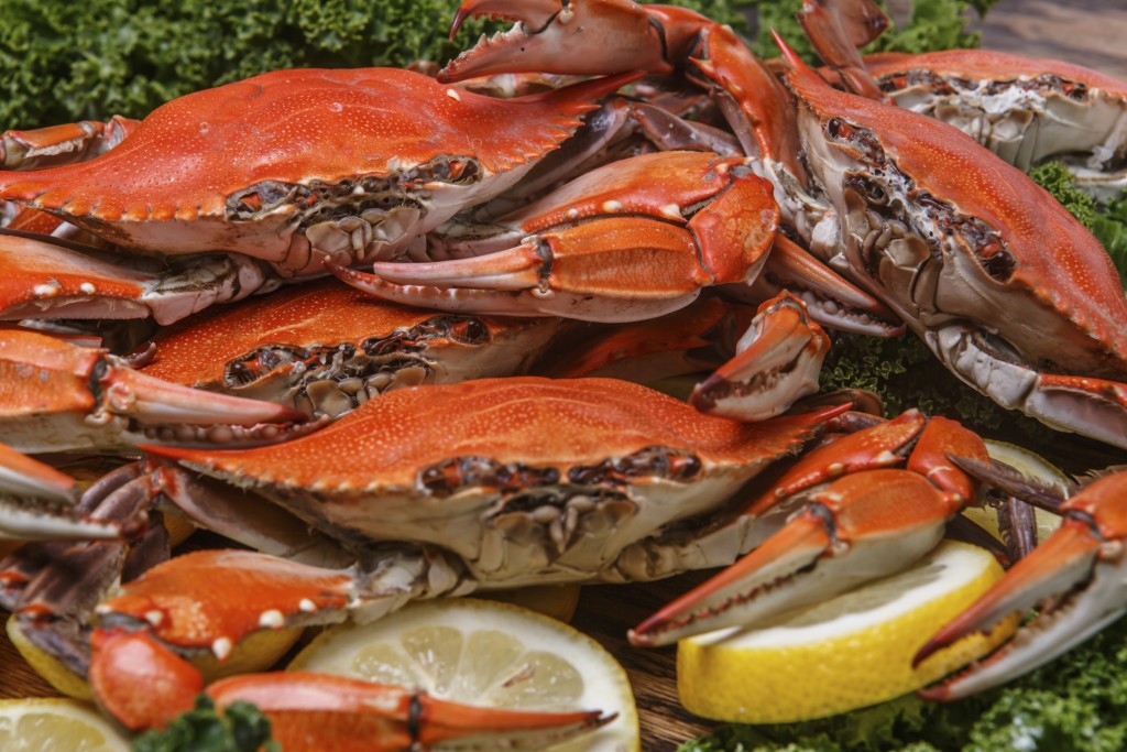Don’t miss the Chesapeake Crab & Beer Festival The Wayside Inn